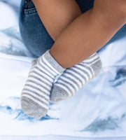 Solid & Stripes Organic Cotton Baby Ankle Socks 6 Pack